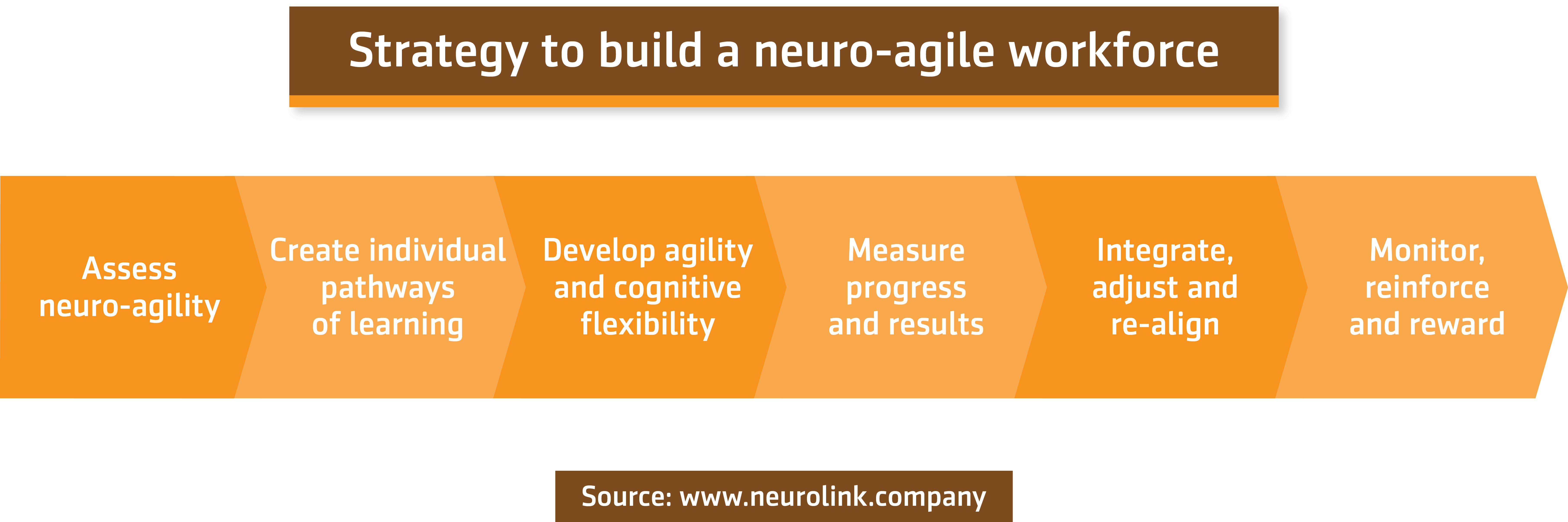 Abstract about the interview about Neuro-agility in practice – ATD Brazil Summit 2019
