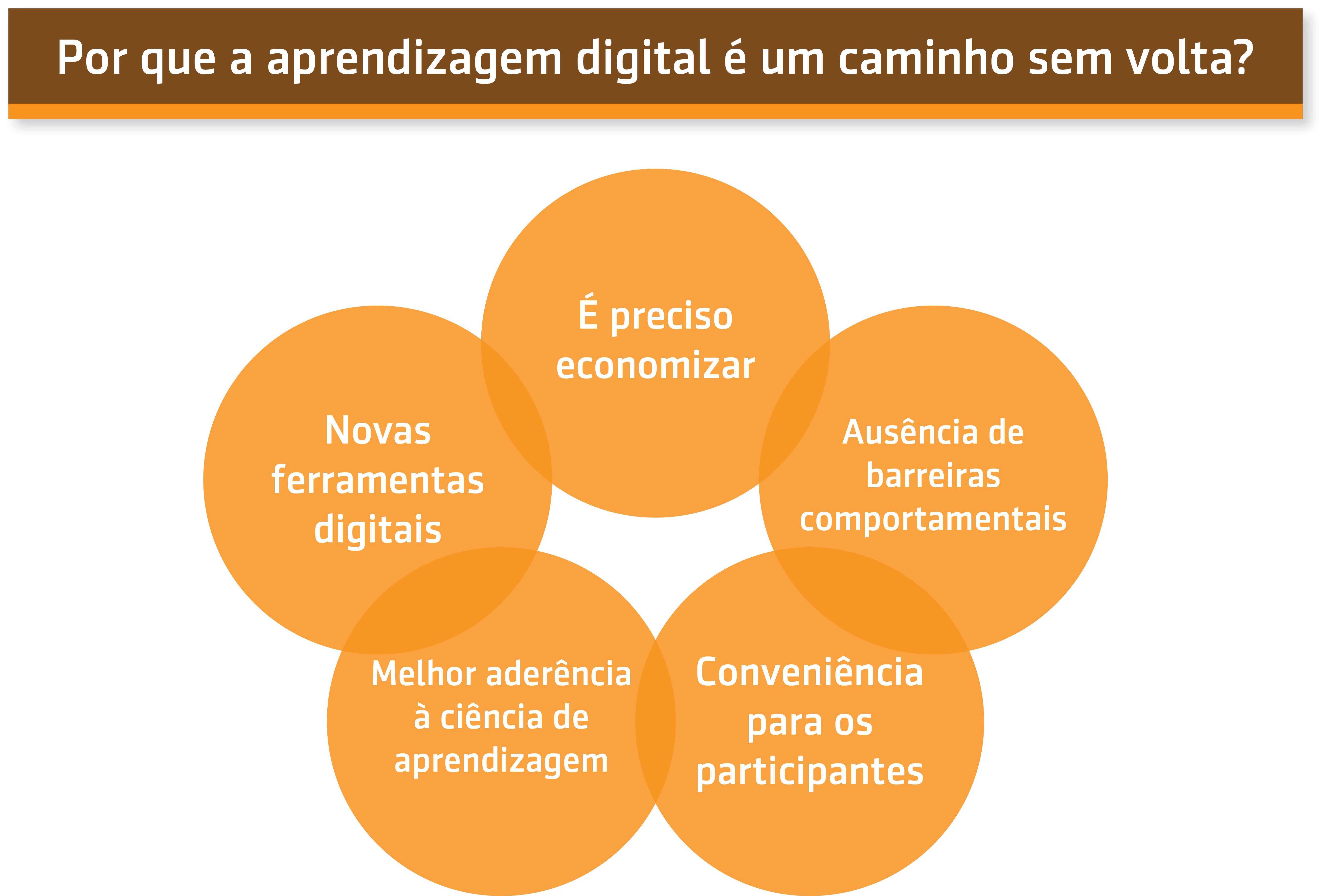 Resumo da aula sobre Por que a aprendizagem digital é um caminho sem volta?